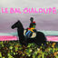 Cover Cavalier noir