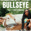 Cover Bullseye