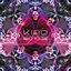 Cover Radio Voltaire