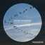 Cover Bird Migration (Radio-Edit)