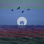 Cover Packard (Nora En Pure Remix)