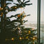 Cover Blue Christmas