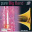Cover Pure Big Band - Part 2 / Vocals