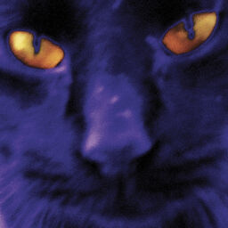 ''