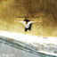 Cover Subliminable