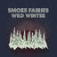 Cover Wild Winter