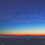 Cover Midnight Waves