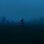 Cover moonlight