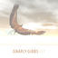 Cover Fly