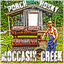 Cover Porch Honky