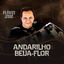 Cover Andarilho Beija Flor
