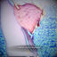 Cover Nanami's End of Journey
