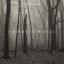 Cover Intrinsec
