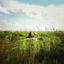 Cover Presqu'ailleurs