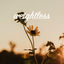Cover Weightless