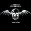 Cover Waking The Fallen