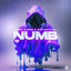 Cover Numb