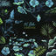 Cover Cenotes