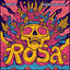 Cover Rosa