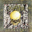 Cover Idolatry