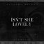 Cover Isn't She Lovely (Acoustic)