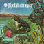 Cover Enchantment