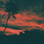 Cover Aliso