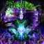 Cover The Order of Chaos