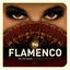 Cover Nü Flamenco