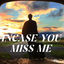 Cover Incase You Miss Me