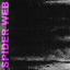 Cover Spider Web