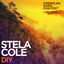 Cover DIY (From “American Song Contest”)