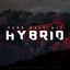 Cover Dann halt mit Hybrid