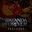 Cover Black Panther: Wakanda Forever Prologue