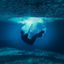 Cover Deep end