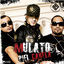 Cover Piel Canela