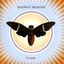 Cover Cicada