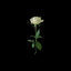 Cover Tout te dire