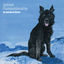 Cover Animal Companionship