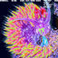 Cover Hydrofall