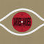 Cover Darkness, Darkness / No Services