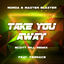 Cover Take You Away (Scott Rill Remix)