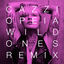 Cover Wild Ones (Remixes)