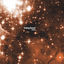 Cover LeO
