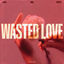 Cover Wasted Love