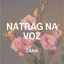 Cover Natrag Na Voz