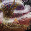 Cover Parvati Records Primal Contact