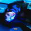 Cover Asphalt (feat. pH-1)