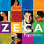 Cover Deixa A Vida Me Levar