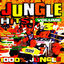 Cover Jungle Hits, Vol. 3